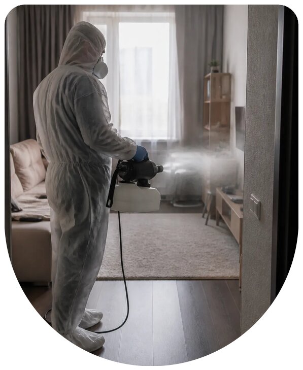 Профессиональная дезодорация квартиры с гарантией в Пскове